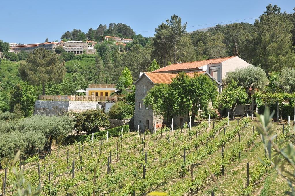 Villa Quinta Do Vale Sanguinho à Seia Extérieur photo